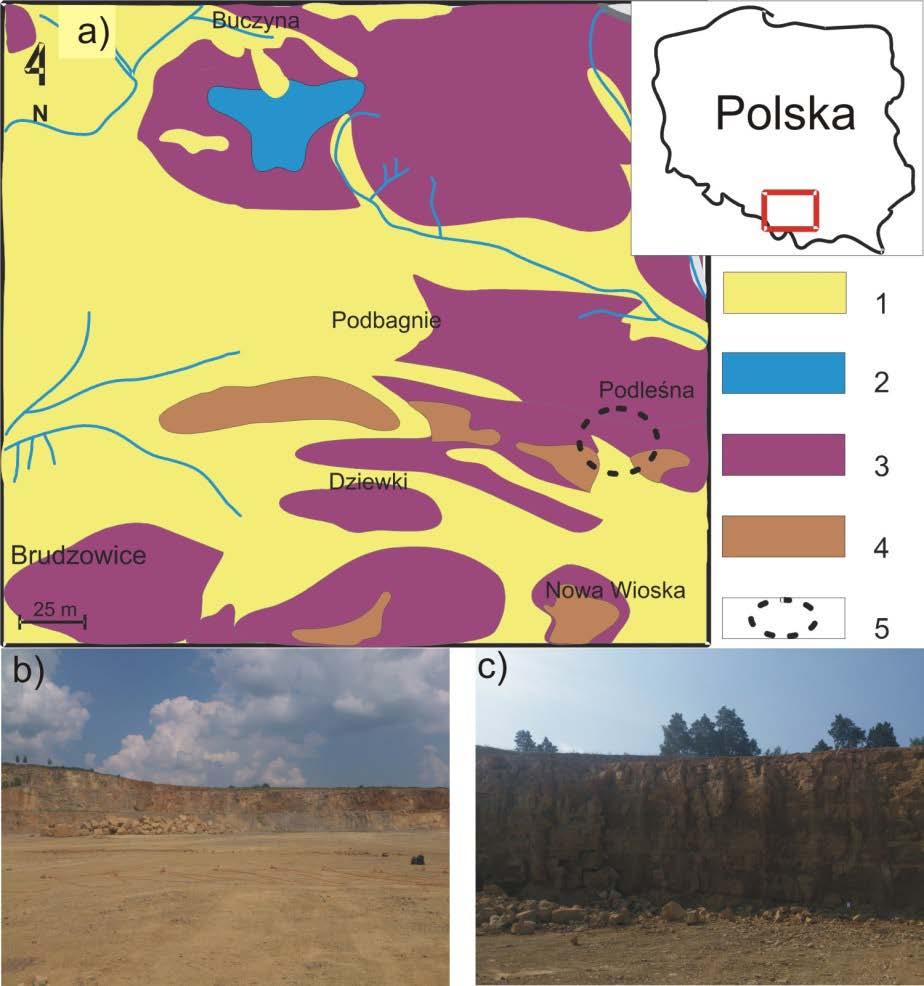 Rys. 1. Mapa geologiczna północnej części gminy Siewierz (a) : 1 Plejstocen, 2 Jura, 3 Trias, 4 Dewon, 5 kopalnia dolomitu Podleśna. Widok kamieniołomu (b) i (c). Fig. 1. Geological map of the Northern part of the Siewierz municipality: 1 Pleistocene overburden, 2 Jurassic rocks, 3 Triassic rocks, 4 Devonian rocks, 5 Dolomite quarry.