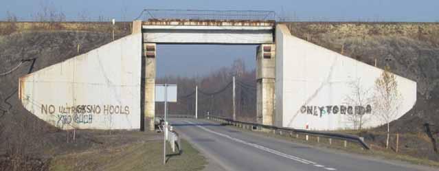 Nr 12 PRZEGLĄD GÓRNICZY 101 zrywania się wagonów, konieczne może być także użycie drugiej lokomotywy, co podnosi koszt transportu. Dlatego tor kolejowy podnosi się, przywracając jego niweletę.
