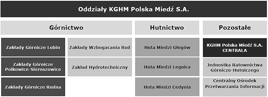 Eksport jako forma internacjonalizacji KGHM Polska Miedź S.A. 77 Rys.