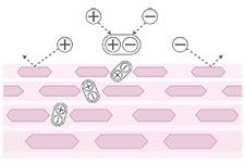 Polega na użyciu zjonizowanych molekuł w odpowiednich proporcjach i warunkach, dzięki czemu tworzą się specyficzne połączenia + i -, które łatwiej pokonują barierę naskórka i zwiększają skuteczność