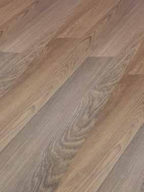 struktura BG -