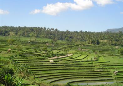 W drodze na lotnisko przystanek w jaskini Batu Cermin. Przelot na Bali. Transfer do hotelu, zakwaterowanie, nocleg.