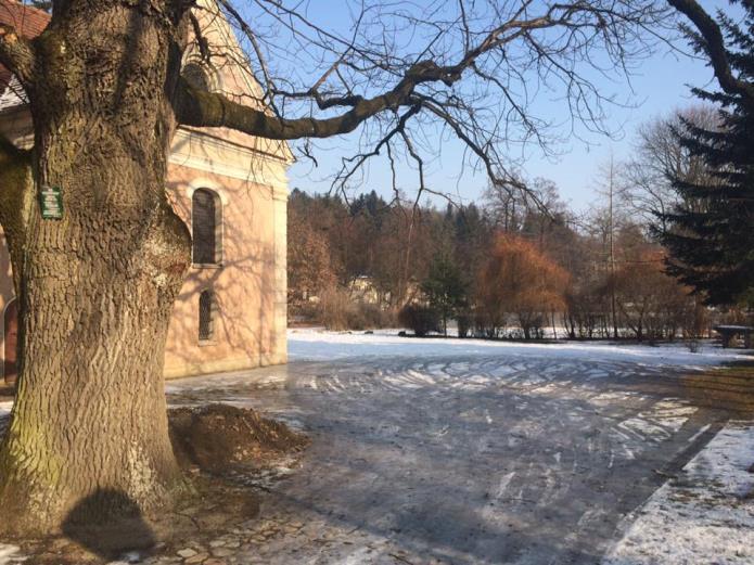 rowerowe wokł jeziora trześniowskiego hala gimnastyczna boisko sportowe plac zabaw odtworzenie bruku między Bramami Łagów pgr chodniki w obszarze rewitalizacji tor saneczkowy tor narciarski pomosty