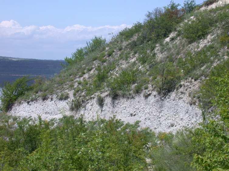 przestrzeni
