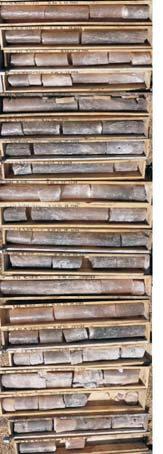 615,0 m Na2 611,0 m 1330,0 m 1320,0 m y³a soli K-Mg vein of potash salts sp¹g skrzynki/profile bottom Na3b depth 985,0 m Na2 981,0 m 1195,0 m fl