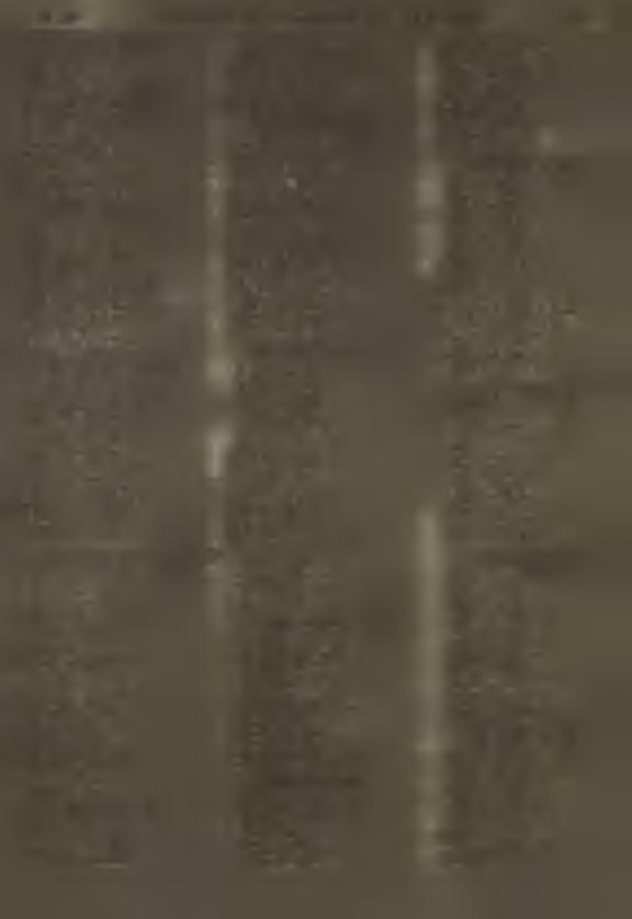 13. Gromada Kuraszewo 1. P is k u r B azyl 2. W asiluk M ikołaj 3. G inszt A natol 4. N este ru k Józef 5. K alinow ski Sergiusz 6. K iry lu k Teodor 7. W asiluk J a n 8. M iczejko Stanisław 9.