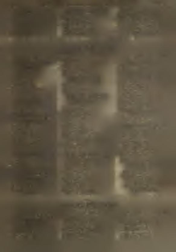 M ikołajuk M ichał 10. Sacharczuk K lem ens P rzew odniczący O kręgow ej K om isji W yborczej w H ajnów ce dla w yborów do G rom adzkich R ad N arodow ych Wacław Jakubczyk 30.