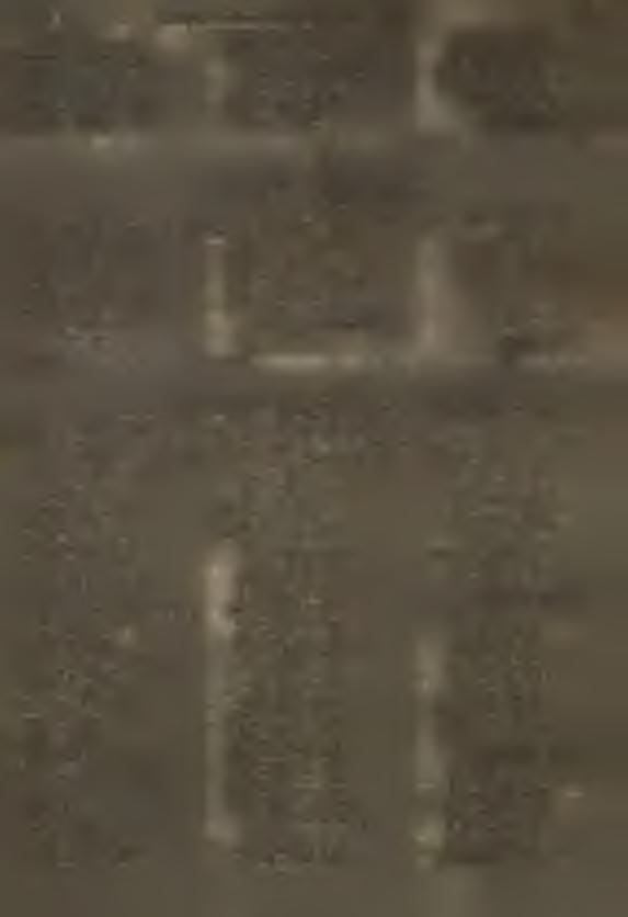 20. M aziński Z ygm unt 21. K ulągow ski Czesław 22. Florczykow ski Stanisław 23. C zereszew ski H enryk 24. R ogińska H elena 25. P ik u liński Stefan 26. K ow alew ska Stanisław a 27.