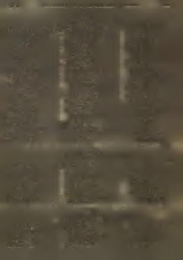 K arpow icz Ja n W achacz K azim ierz O stapkow icz T eresa F o rm u s A ntoni K użbik M ieczysław W ejs K azim ierz F a tk in E m ilia Ł azacz W itold C zerepko Z ygm unt K onaszew ski E dw ard 1.