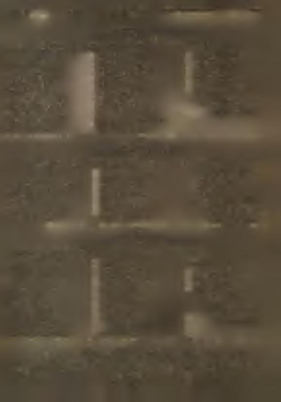 51. M iejskiej Kom isji W yborczej w C iechanow cu Miejsk a K om isja W yborcza w C iechanow cu ogłasza, że w w yborach, które bran i zostali do M iejskiej R ady N arodow ej w C iechanow cu: 1.