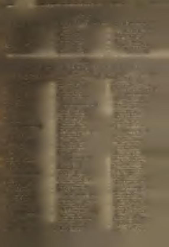 10. Miejskiej Kom isji Wyborczej w Zabłudowie M iejska Komisja W yborcza w Zabłudow ie ogłasza, że w w yborach, ni zostali do Miejskiej R ady N arodow ej w Zabłudow ie: 1. Podłaszczyk Aleksy 2.