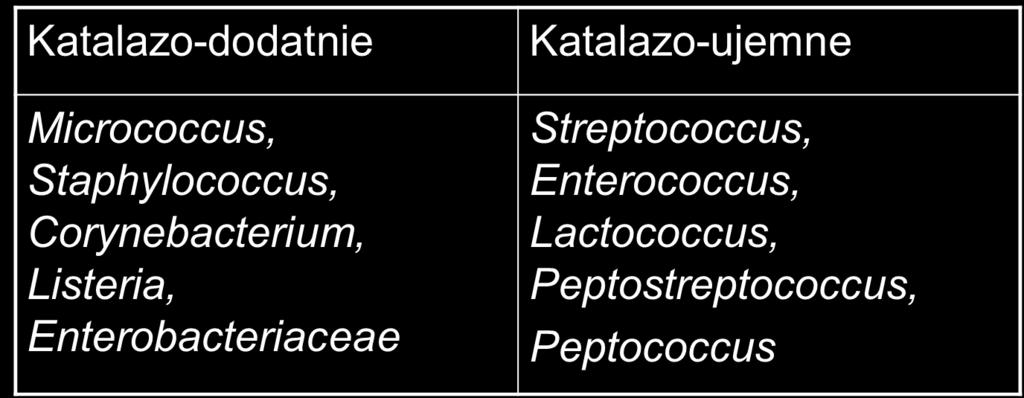 Przykłady testów w toku diagnostycznym: Test na katalazę. Katalaza jest enzymem, który rozkłada toksyczny dla komórki H 2 O 2 do H 2 O i tlenu.