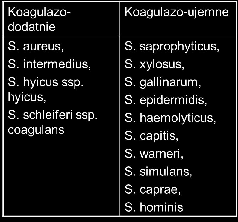 Test na koagulazę. Oznaczenie wykonuję się metodą probówkową. Osocze królicze miesza się w probówce z hodowlą i inkubuje w temp.37 C przez 1-4godzin.