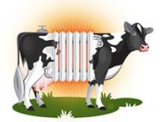 Problemem krów mlecznych w okresie letnim jest ich znaczące wydzielanie ciepła Opisane jako lampa 100W (Opublikowane w Hoard s Dairyman Magazine, Maj 2000) Człowiek w stanie odpoczynku wydziela