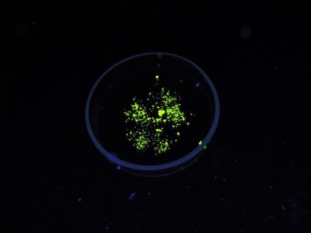 ynteza 9-[(-decylokarbazol-3-ylo)etynylo]antracenu ieopisany jak dotąd 9-[(-decylokarbazol-3-ylo)etynylo]antracen otrzymano na drodze reakcji sprzęgania onogashiry 9-etynyloantracenu z -decylo-3-