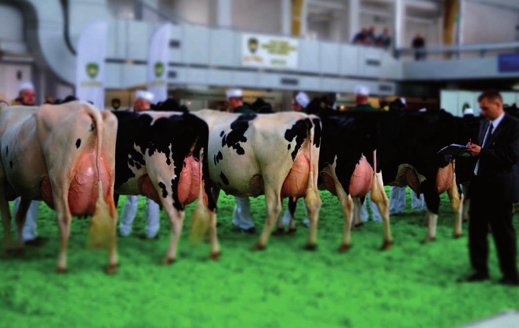 Nr 1 (Rok X, nr 25) Buhaje serowarskie genotyp kappa kazeiny Buhaje z najlepszą zdrowotnością
