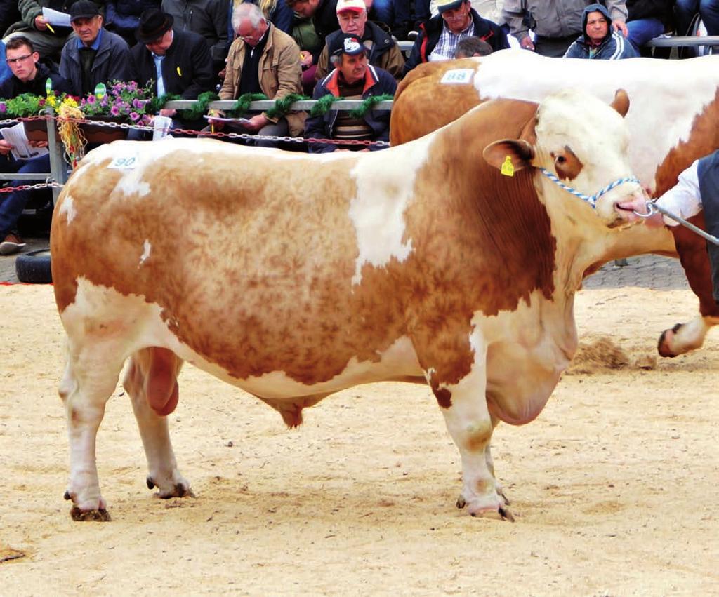 Nr 1 (Rok X, nr 25) Buhaje zalecane do inseminacji jałówek Buhaje z najlepszym indeksem dla cech mięsnych HF HO Typ oceny PF kg mleka Indeks kg PI PROD PI POKR PI RC PI SM PI NiR PI W PI PŁOD WH KSOM