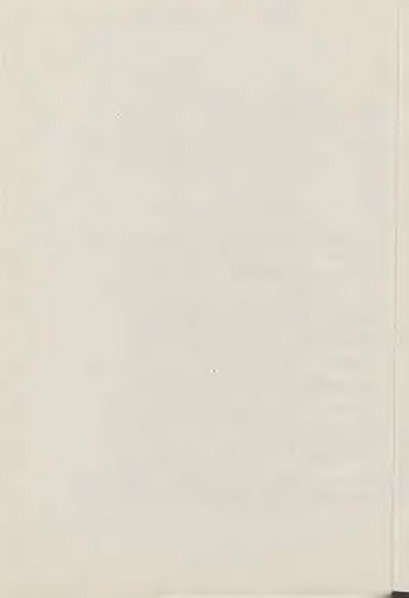 14 S Z K O Ł A W Ł O S K A. 155. Scena religijna. O l. na pł., rozm, 70 X 55. 156. Scena z historji Rzymu. O l. na pł., rozm. 84 X 1.08. 157. Święta Rodzina. O l. na pł. Szkoła wenecka, rozm. 75 X 73.