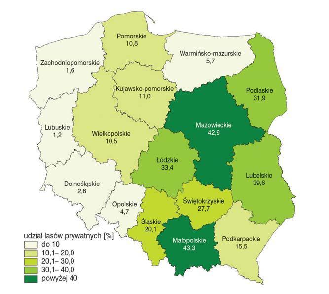 Struktura własności lasów Ocena dostępnych zasobów drewna opałowego z lasów Powierzchnia lasów państwowych ok.