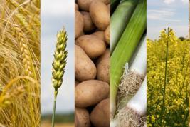 Planowane przedsięwzięcie to zintegrowane w funkcjonalną jedność kilka