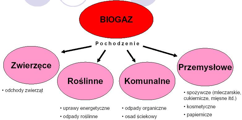 Źródła biogazu