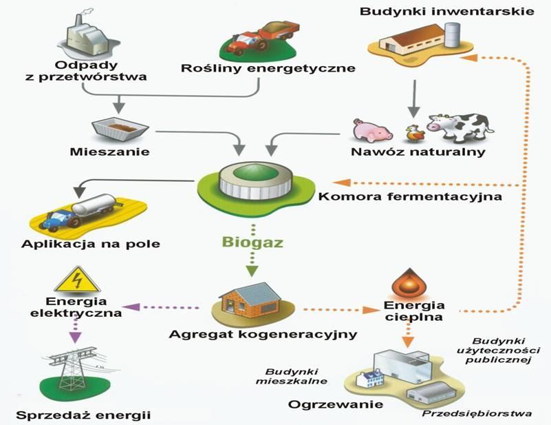 Zalety biogazu Niezależność energetyczna Redukcja niekontrolowanej emisji metanu Redukcja emisji CO 2 Wykorzystanie lokalnych zasobów energetycznych Ograniczenie szkód w środowisku Zagospodarowanie