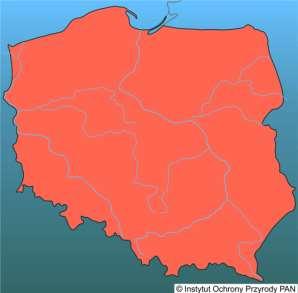 środowiska: Temperatura 22-28 C ph 7,0-8,5 Pokarm: