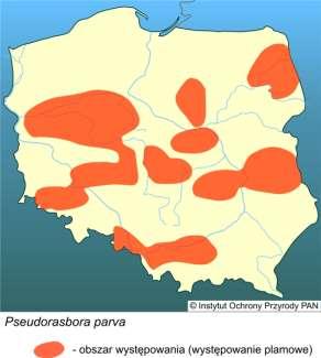 Długość do 15 cm, masa ciała do 50 g Optymalne warunki środowiska: Temperatura 22-28 C ph 7,0-8,5