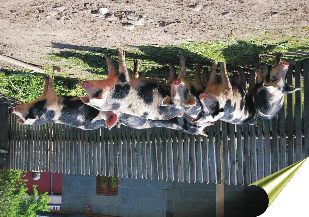 INSTYTUT ZOOTECHNIKI PAŃSTWOWY INSTYTUT BADAWCZY OCHRONA ZASOBÓW