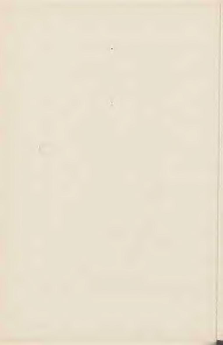 14 280. Toaleta mahoniowa złocona, z bronzami, empire. Należała do jener. Żółtowskiego, dziada Deotymy. 281. Stół owalny, mahoniowy, dyrektorjat. 282.