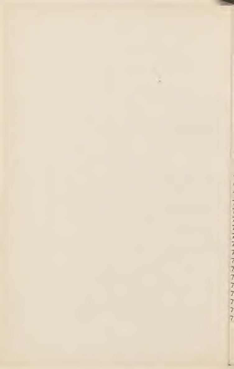 36 VII, TKANINY 695. Gobelin, L. XIV, fragment (uszkodzony). 696. Makata jedwabna, L. XIV. 697. 2 bryty materji, velours de Genes. 698. Serwetka gobelinowa, kościelna, L. XV. 699.