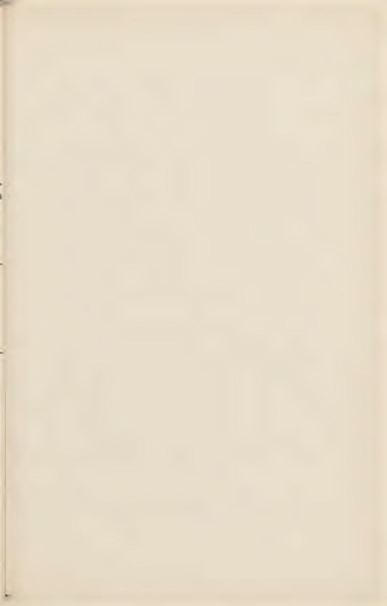 . 1070. Broszka srebrna z rautami. 1071. Igielnik z masy perłowej, oprawny w złoto, z dwoma ametystami, w. XVIIl-ty.. 1072.