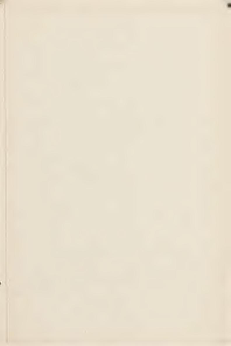 34. Koszyczek i kubek, w kolorze jasno-bronzowym. 35. Koszyczek (pęknięty). 36. Herbatnica (nieco uszkodzona). 37. 3 małe sztuki: cukierniczka, miecznik i lampka rzymska. 38. Koszyczek. 39.