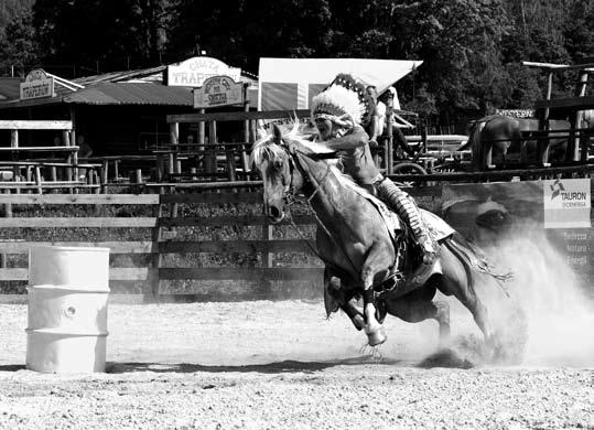 KRAINA WESTERNU POD ŚNIEŻKĄ w Polsce, gdzie w każdy weekend w sezonie letnim obejrzeć można Rodeo Show pokaz kilku wybranych dyscyplin westernowych między innymi cuttingu z bizonami, lub cielakami.