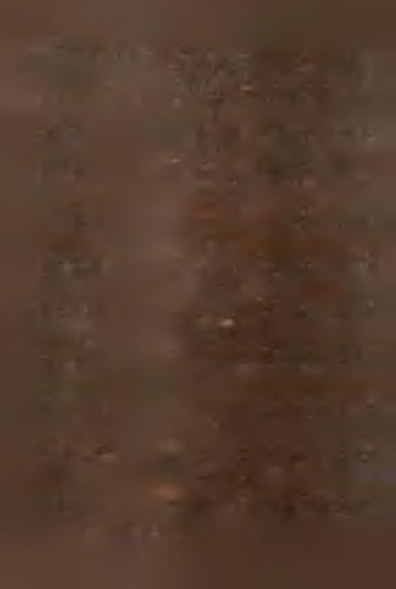 9 8 9 = =100 w l i c z b a c h b e z w z g lę d n y c h 1 9 8 9 = 100 OGÓŁEM P ow i e r z o h n ia w ha Z b io r y w d t / q / 86 9 3 108,1 5 1 5 9 5 2 6 7 102,1 1 3871 1 1 5 5 3 8 3,3 1067620 9 2 9