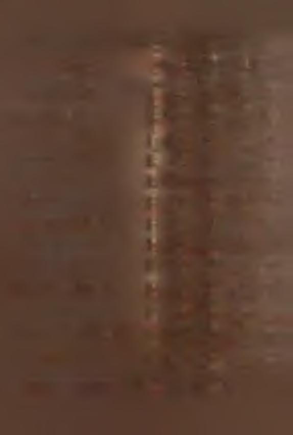 r y ow oców i J a g ó d w d t / q / a 2 1 4 8 3 8 7 1 2 7 5 7 0 1 2 4 9 2 1 b 3 6 2 2 7 4 1 4 3 9 1 1 5 9 0 2 0 1 6 2 0 o 1 6 8,6 2 0 1,9 8 4 2,9 1 6 1,4 D rzew a o w o c u j ą c e w s z t.