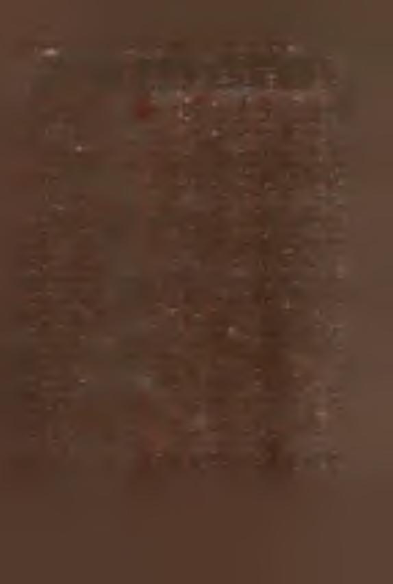 RSP,SZYB0WXCE 7 5 71,4 171 340 19 8,8 1200 1700 141 71 RSP ŚCBORZYCE MAŁE 5 5 100,0 250 286 114,4 1250 1430 114 41 RSP STAROSCN 8 5 6 2,5 256 274 10 7,0 2050 1369 66 81 RSP M0 N0W 10 3 3 0,0 320 428