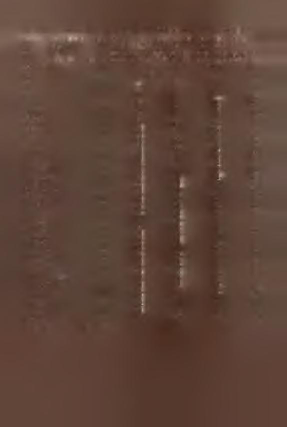 KAMENNK K E T R Z, KLUCZBORK 7 / KOLONOWSKEa / KOMPRACHCCE KORFANTOW, KRAPKOWCE 7 LASOW CE/WELKE LEŚNCA 7, LEWN BRZESK*7 LUBRZA LUBSZA ilam b in o w ice ŁUBNANY MUROW.