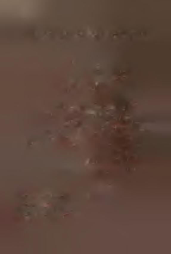 / Niemodlin / / Z / / / Z / / / SZębowice a e n \ Lubnia lelki A ^ _ / / Z /T u rawa / / x ^ / ^