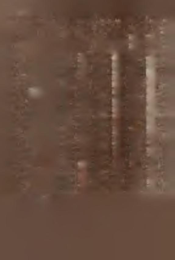 T A G M N Y ikrapkow ice / LASOWCE WELKE LESNCA / il ew in BRZESK / LUBRZA 1 LUBSZA ŁAMBNOWCE LUBNANY MURÓW, NAMYSLOW NEMODLN */ NYS A a / OLSZANKA y lotmuchowy*/ OZMEK a / y PA C Z KO Wa / ipa k o