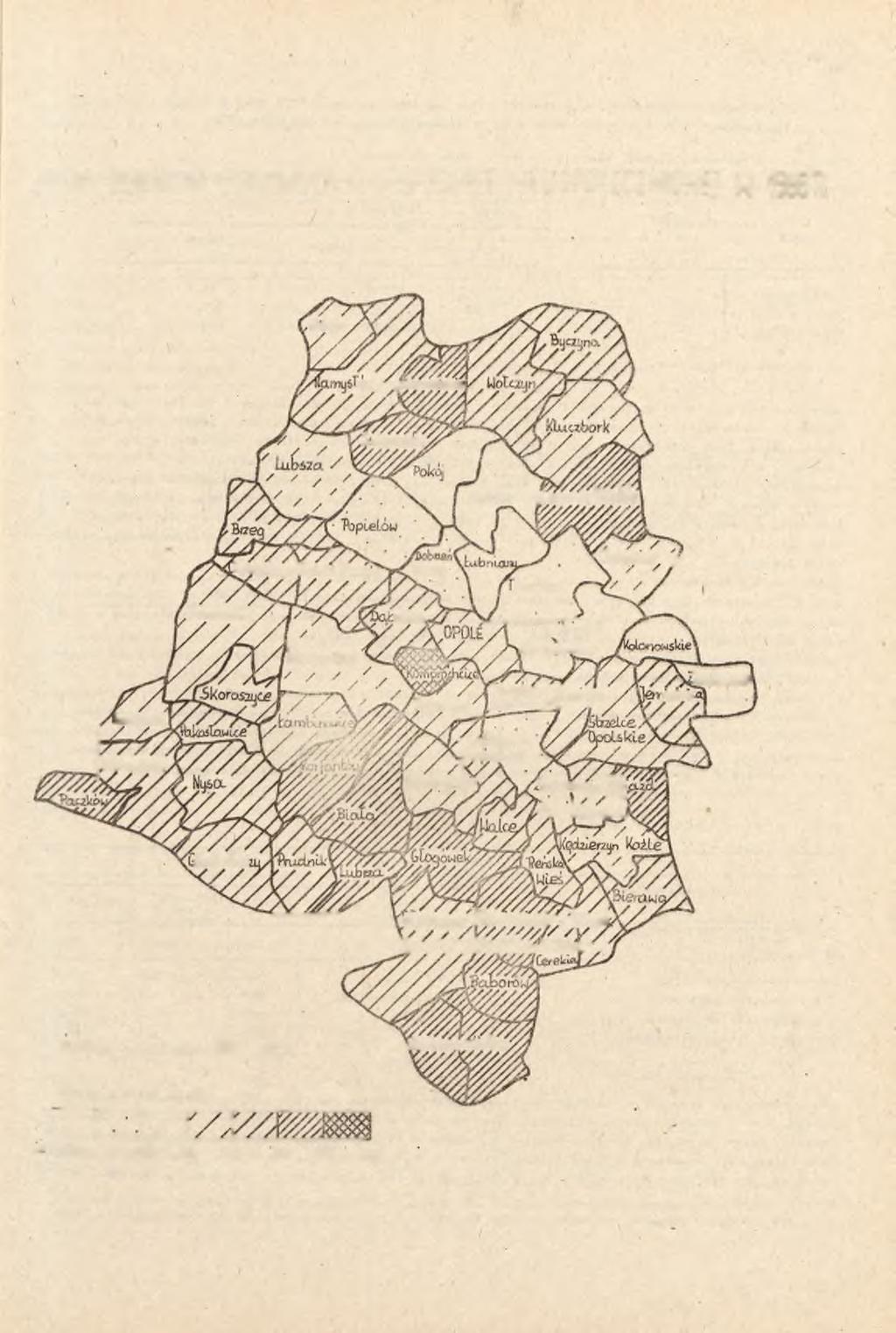 PLONY BURAKÓW CUKROWYCH W GOSPODARCE NEUSPOŁECZNONA W 1988 R. Wilków -OM / Zitorr.