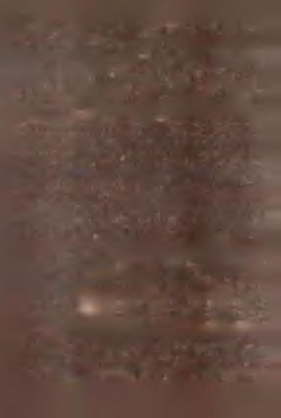 364 363 389 106,9 1 0 7,2 Zbiory w At/ą/ 11152103 10749101 11421011 102,4 106,3 a/ Przeciętne roczne.