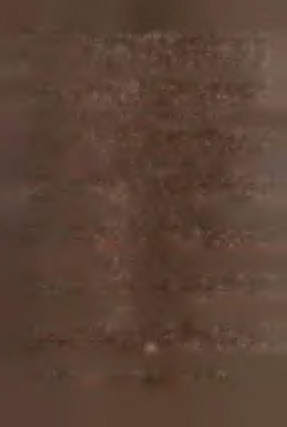 69,3 1208113 1085921 19563 19718 1 0 0,8 309 275 8 9,0 6040364 5429605 85,1 83.9 89.9 89.9 PAŃSTWOWE GOSPODARSTWA ROLNE PODLEGŁE MN.