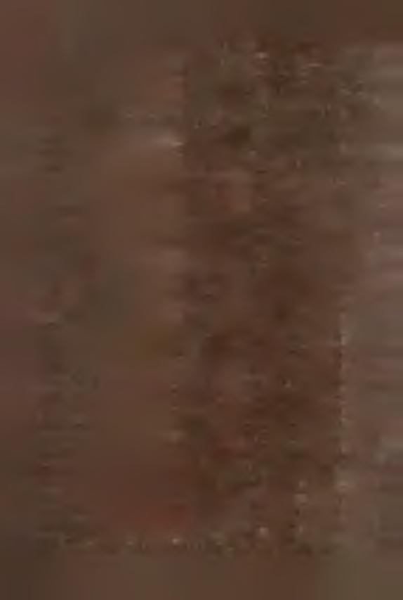 Ozimek*/ 1627 44,4 1473 138 154 Pa ozków*/ 6 8 3 2 0, 0 433 277 248 Pakoaławloe 499 21,4 383 116 116 Pawłowiczki 1 1 6 3 14,6 462 747 701 Pokój 1460 42,0 1281 199 179 Polaka Cerekiew 554 1 6, 8 286