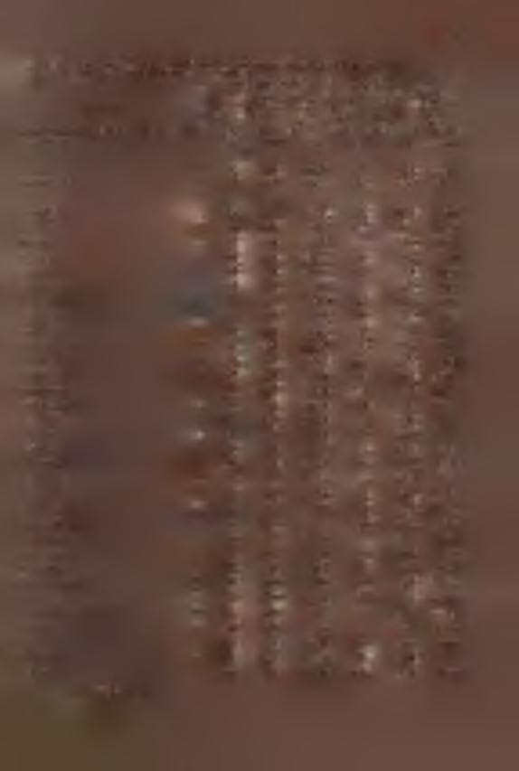 ' 52 600 31200 49 630 30870 Blełae/ 40 520 20800 228 630 43640 Bierawa 9 455 4095 74 600 44400 Brani oe 28 550 15400 33 500 16500 Brzega/' 90 450 40300 47 500 23500 Byczyna -'' 10 450 4500 66 500