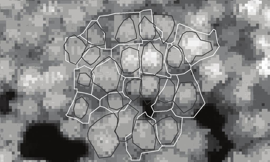 R = LIDAR P Π LIDAR 19 (1) R = foto Stopień, w jakim zaniżane są wielkości koron w trakcie pomiarów fotogrametrycznych, określają różnice pól powierzchni dp = P foto P LIDAR i promieni dr = R foto R