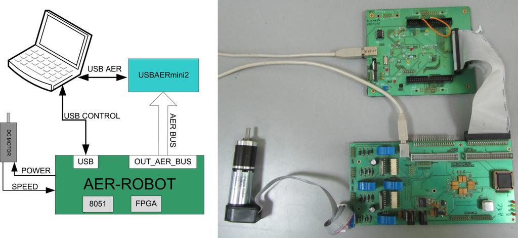 Wykorzystanie biologicznych sieci neuronowych w rozwiązywaniu problemów automatyki i robotyki Rys. 2.