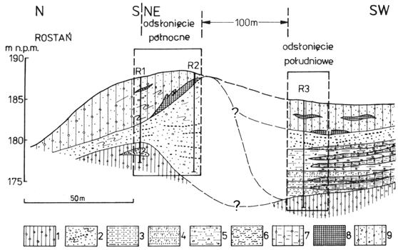 STRATYGRAFIA CZWARTORZÊDU POLESIA WO YÑSKIEGO... 27 Ryc. 12. Profil geologiczny stanowiska Rostañ Poziom Dnieper 2 (?