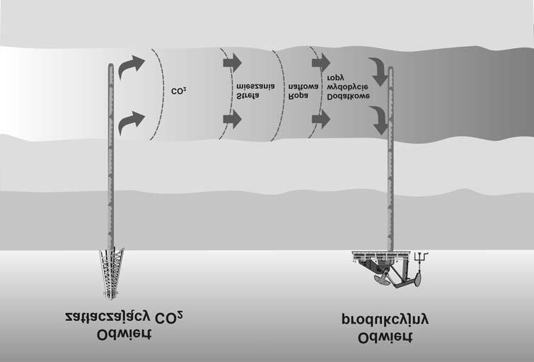 130 2.1. CO2-EOR m i e s z a l n y W odpowiednich warunkach ciœnienia z³o owego i temperatury oraz sk³adu ropy ditlenek wêgla mo e byæ mieszalny z rop¹.