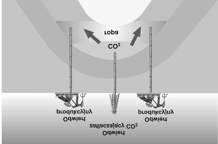 132 2.2. CO2-EOR n i e m i e s z a l n y Je eli ciœnienie z³o owe jest za niskie lub gêstoœæ ropy za du a, ditlenek wêgla i ropa nie podlegaj¹ procesowi mieszania.